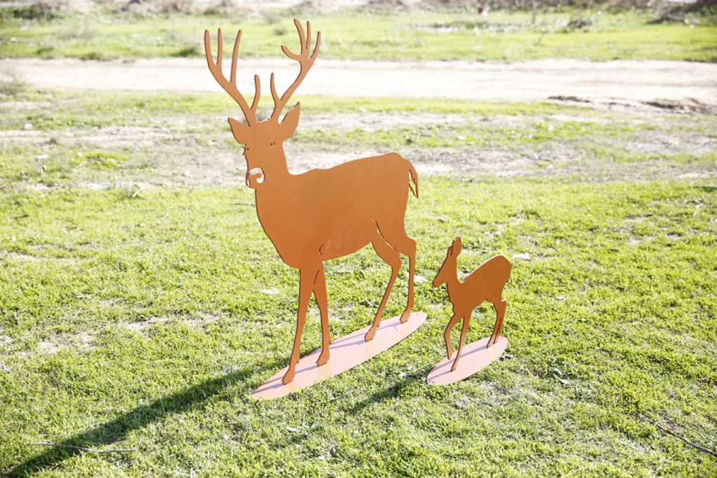 Deer · Cutting & Covering - IDEA.AZ