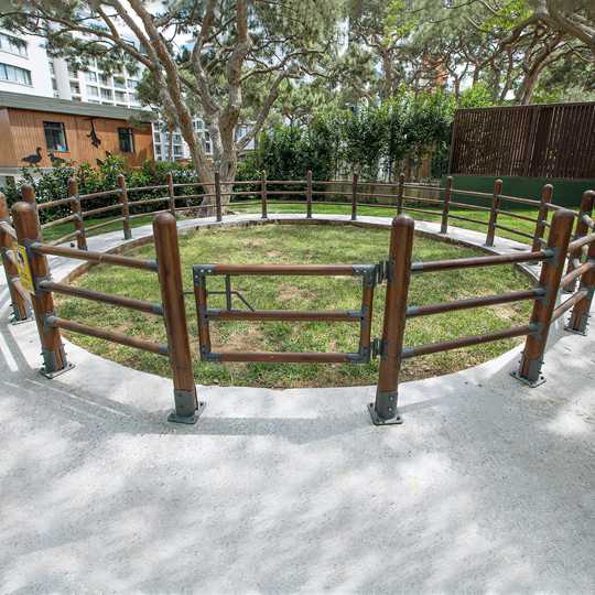 Pony Fence Baku Zoo Park · Mühəccərlər - IDEA.AZ