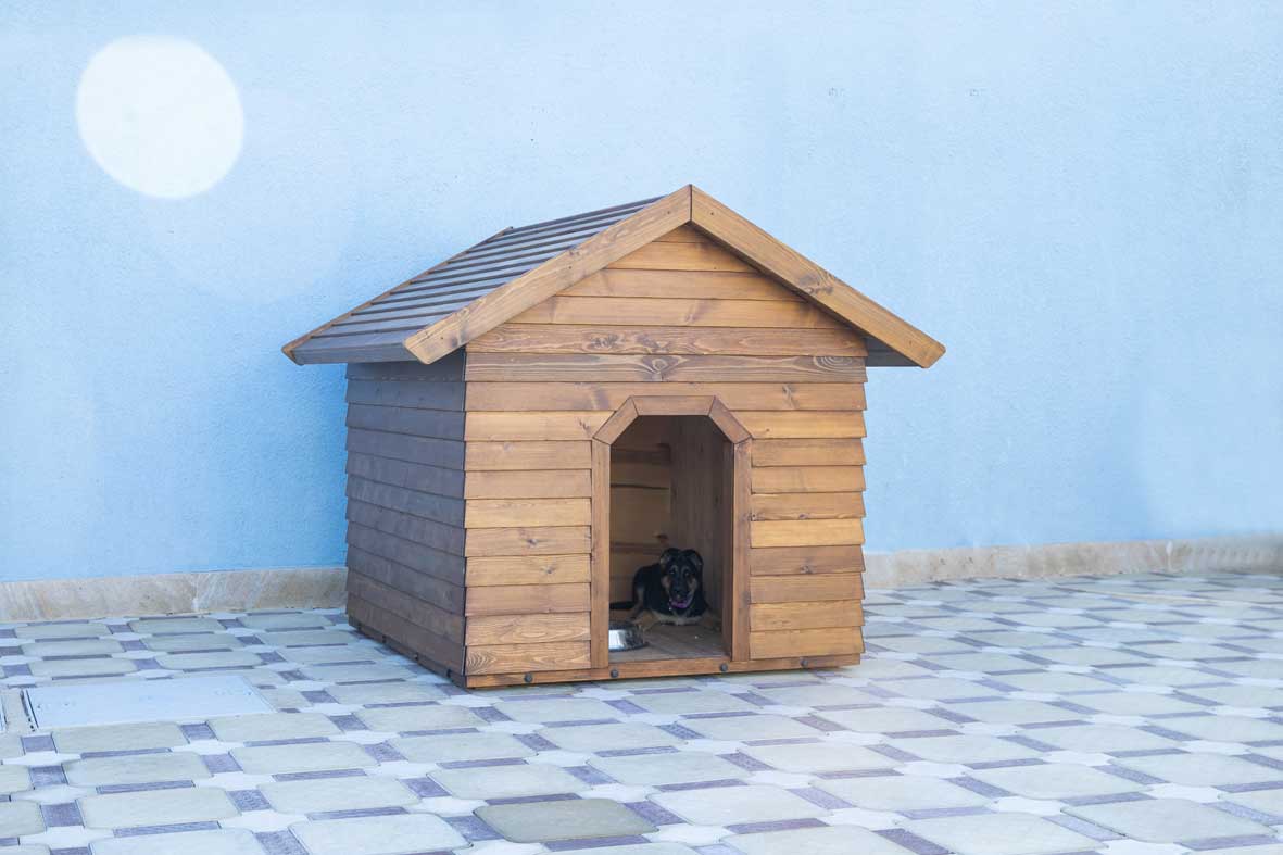 Dog House · More Products - IDEA.AZ
