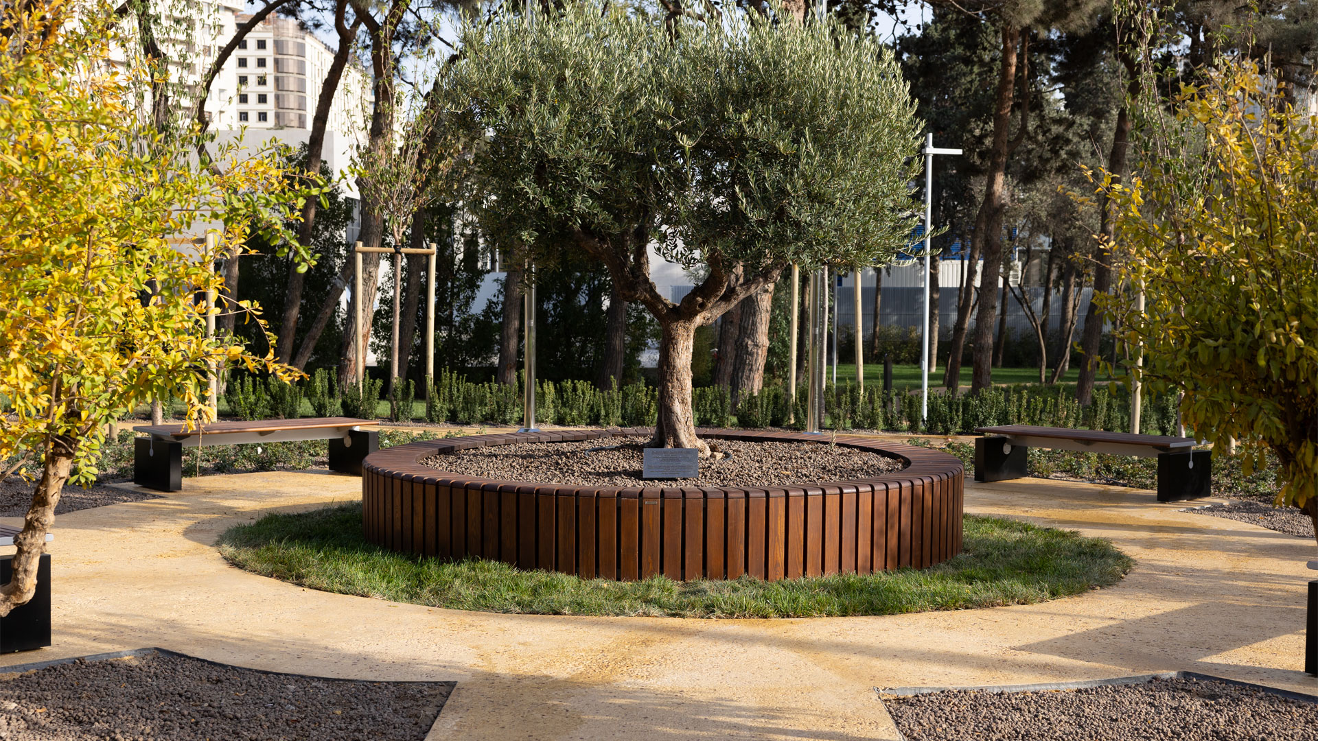 Universidad ADA 2025 · Proyectos a Medida - IDEA.AZ